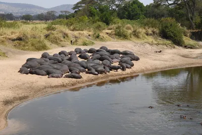 DSC_3634 (Large).JPG